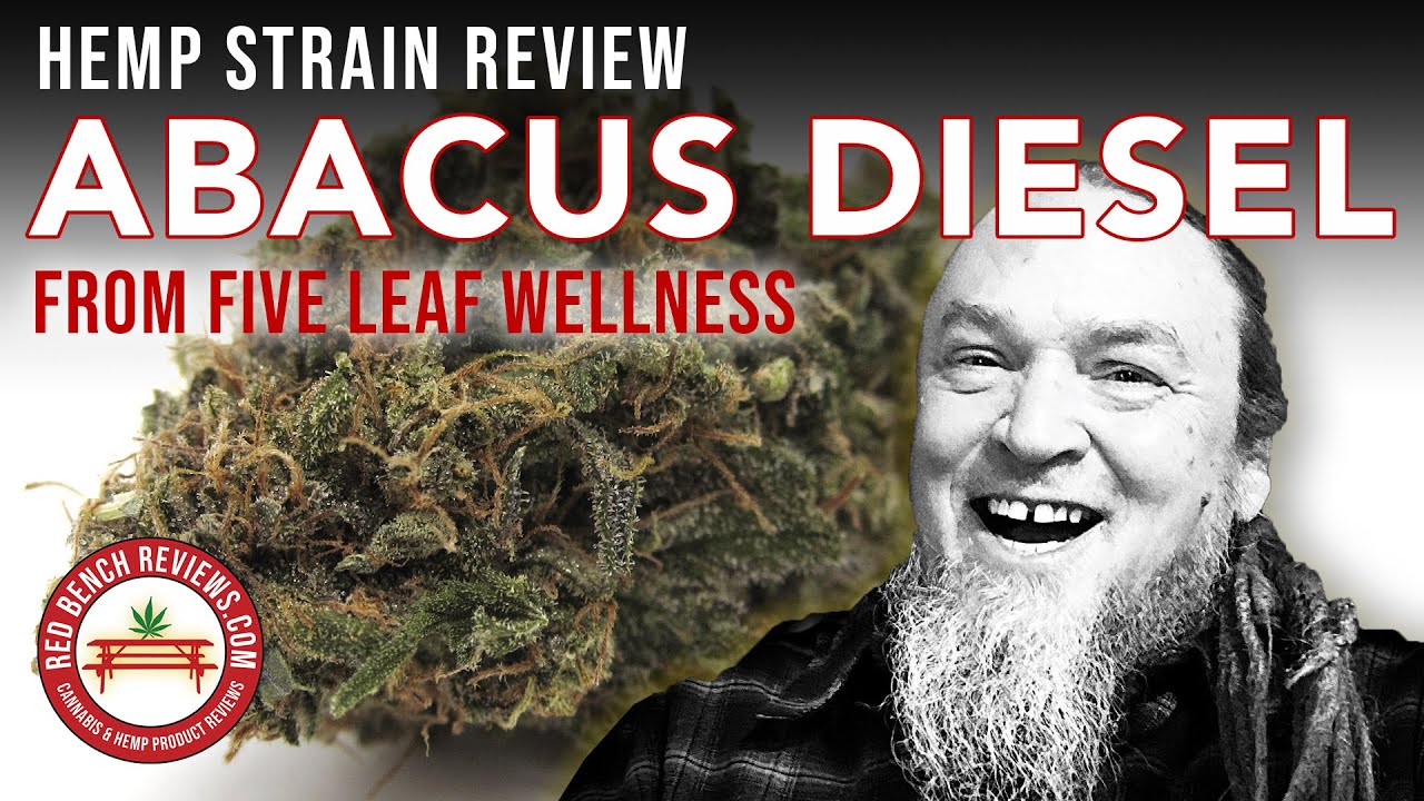 Five Leaf Wellness | Обзор сорта Abacus Diesel | 20,4% CBD
