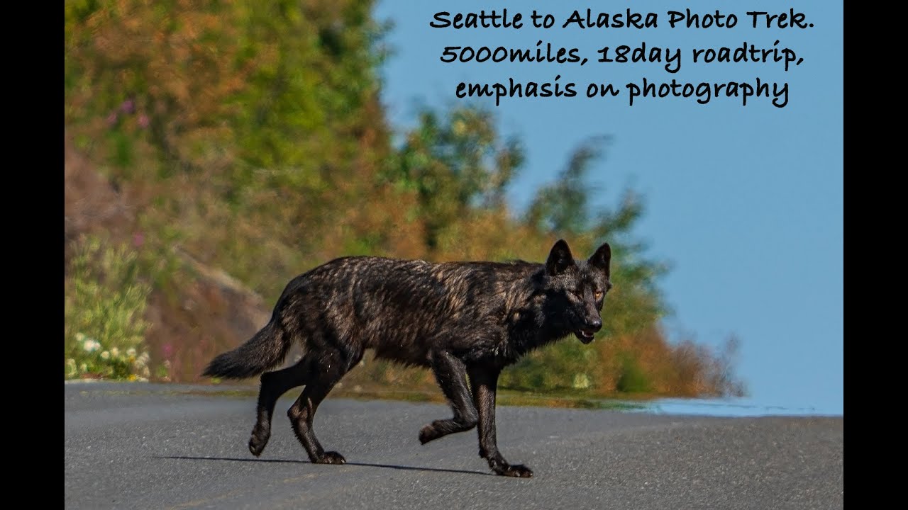Seattle-Canada-Alaska Photography Trek.  A 5000mile, 18day roadtrip  in July 2025.