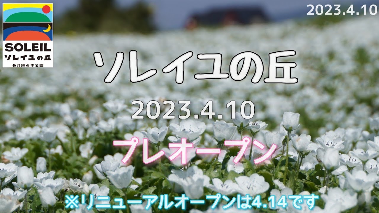 長井海の手公園  ソレイユの丘 ｜2023年4月10日(月)のプレオープンに行ってきました｡（横須賀市民限定）