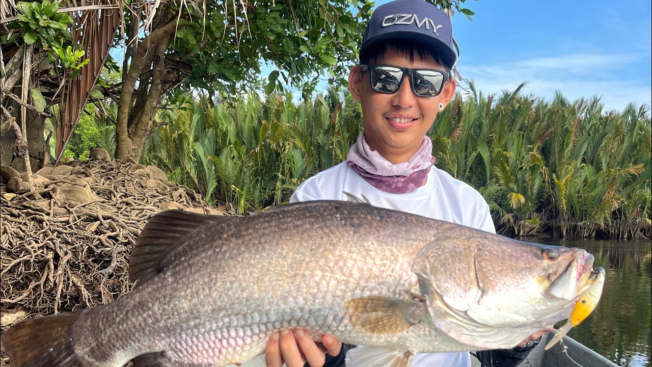 Casting Siakap liar di sungai menumbok