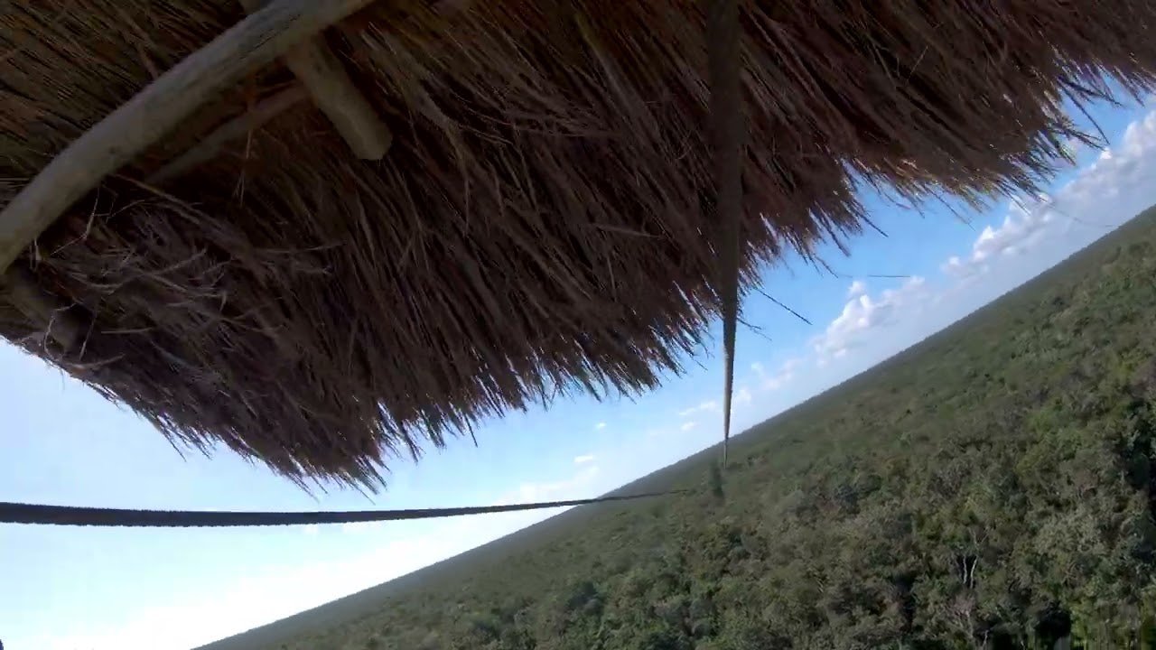 One trip trough and over the Mayan jungle.