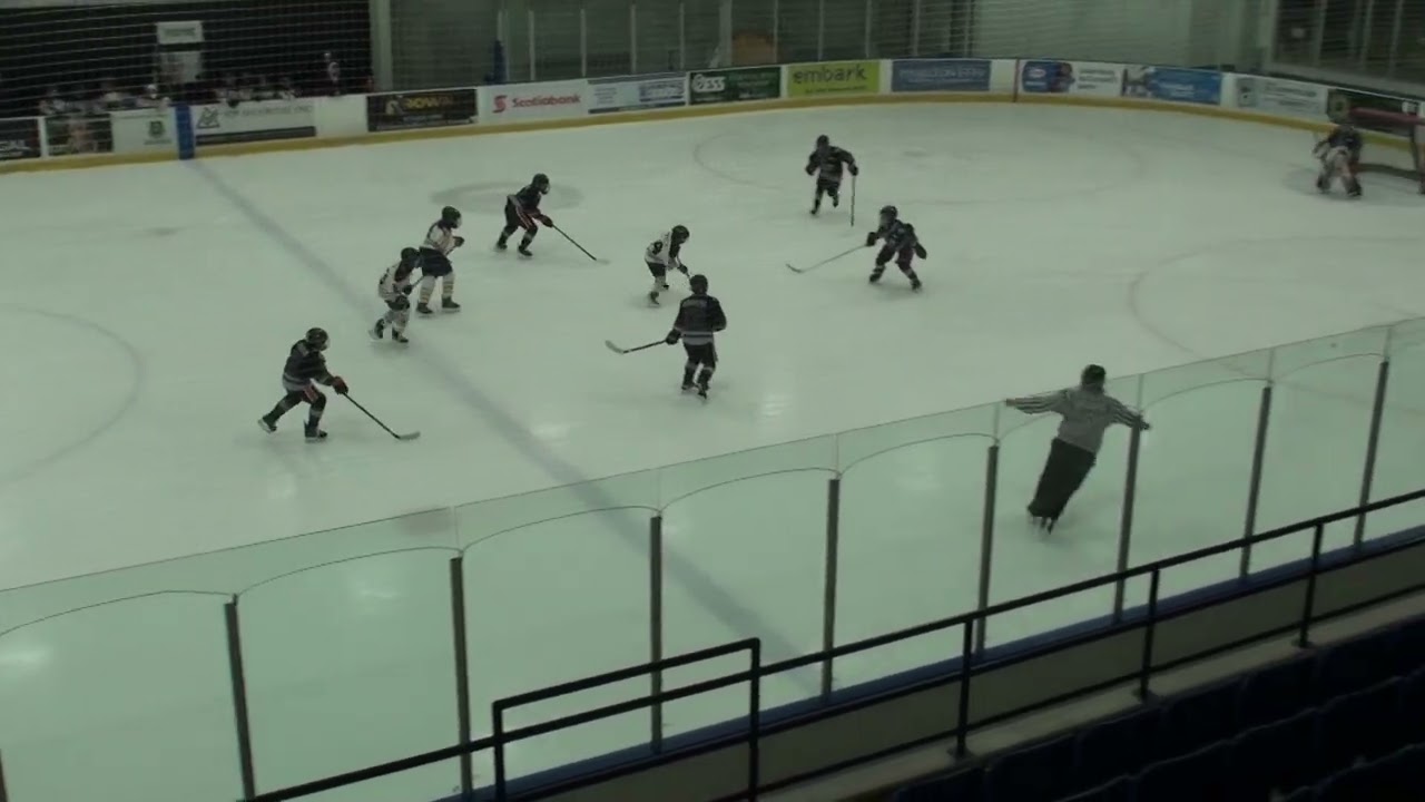 Tigers v Toronto Wolverines   2026 02 09 00413