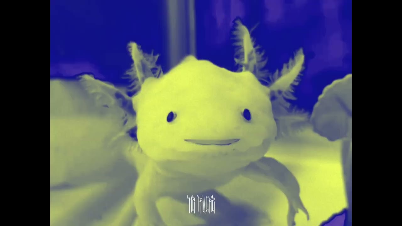 Axolotl [Beat Lo-Fi Soul]