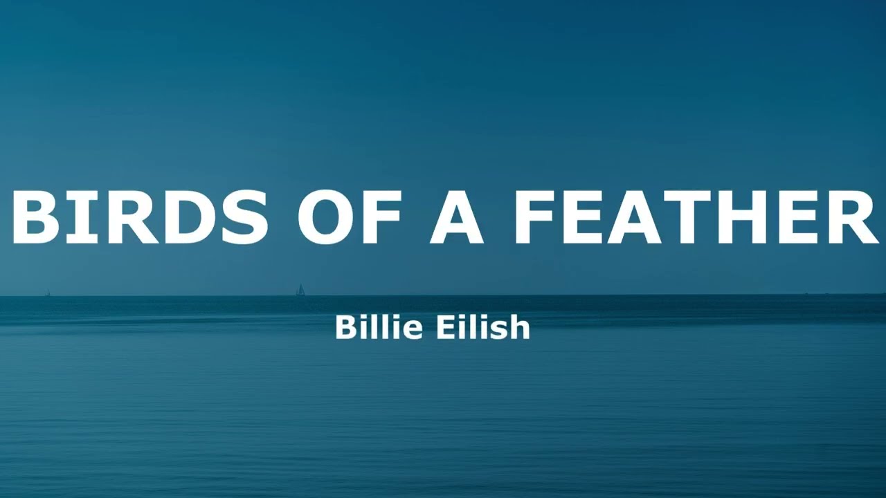 Billie Eilish - BIRDS OF A FEATHER (Lyrics)