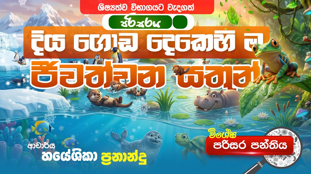 දිය ගොඩ දෙකෙහිම ජීවත් වන සත්තු |  පරිසරය | DR.HAYESHIKA FERNANDO