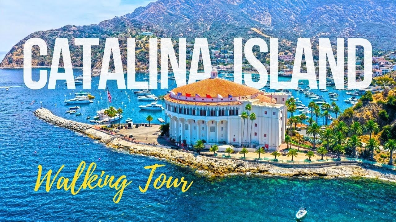 🚶‍♂️Discovering CATALINA ISLAND 🏖️ A scenic walking tour of Avalon, California