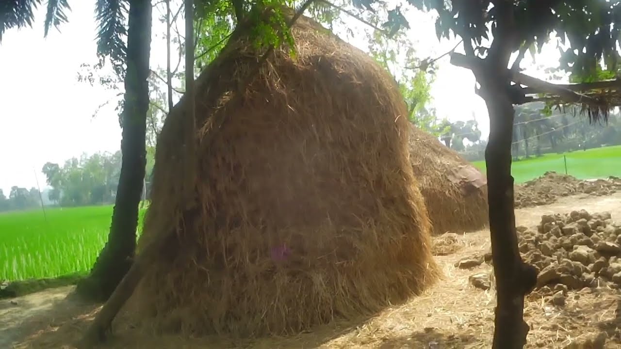 গ্রাম বাংলার প্রকৃতি 