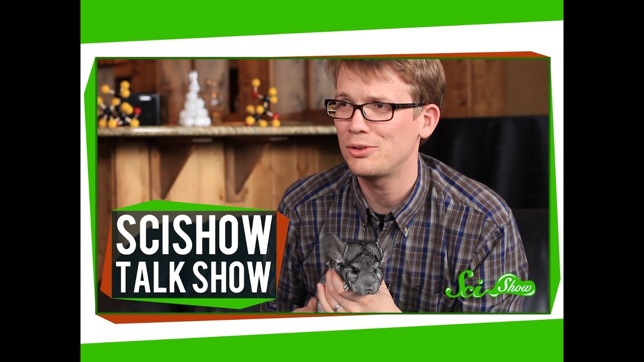 HIV vs. AIDS & Ash the Chinchilla: SciShow Talk Show #19