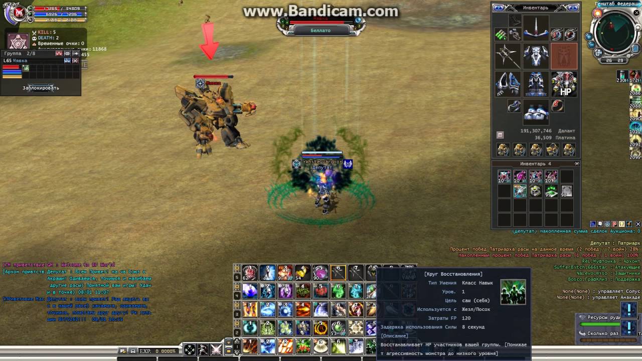 RF Online убогий дмг мау!