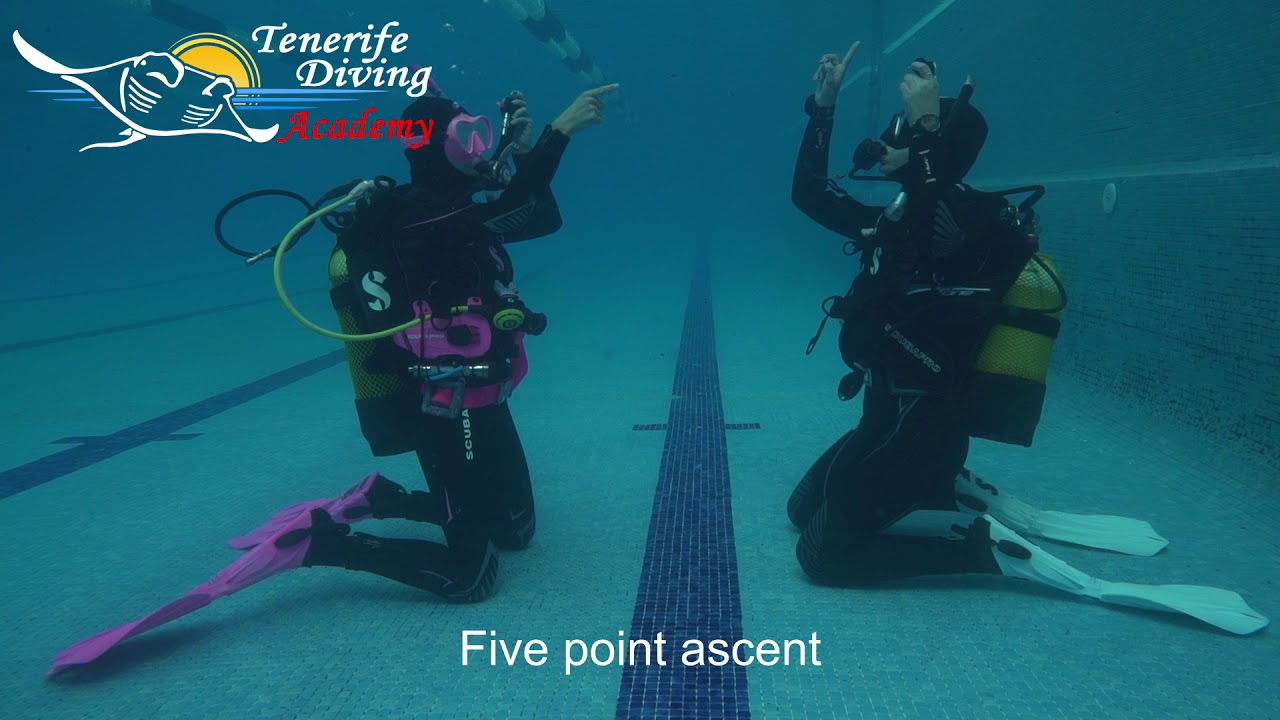 PADI Divemaster / PADI Instructor Skills - 5 Point Ascent
