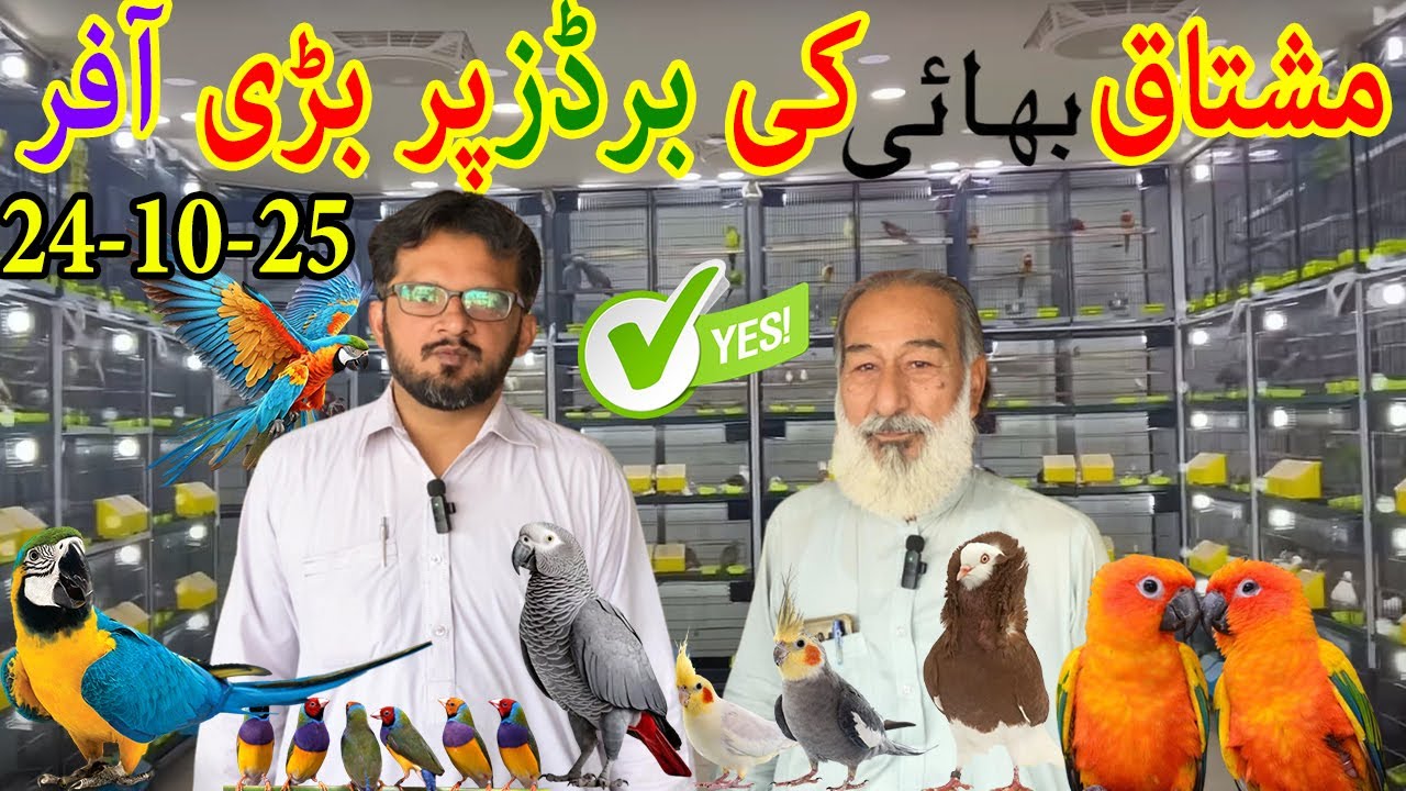 BIRDS PARADISE SHOP NEW BIRDS PRICE UPDATE 24-10-25  Bird Market |Multan Lahore| Islamabad | Karachi