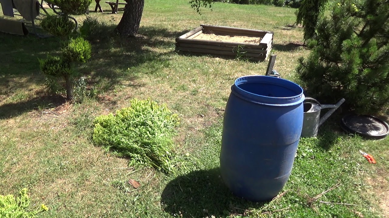 Wrotycz - naturalny sposób na choroby i szkodniki.