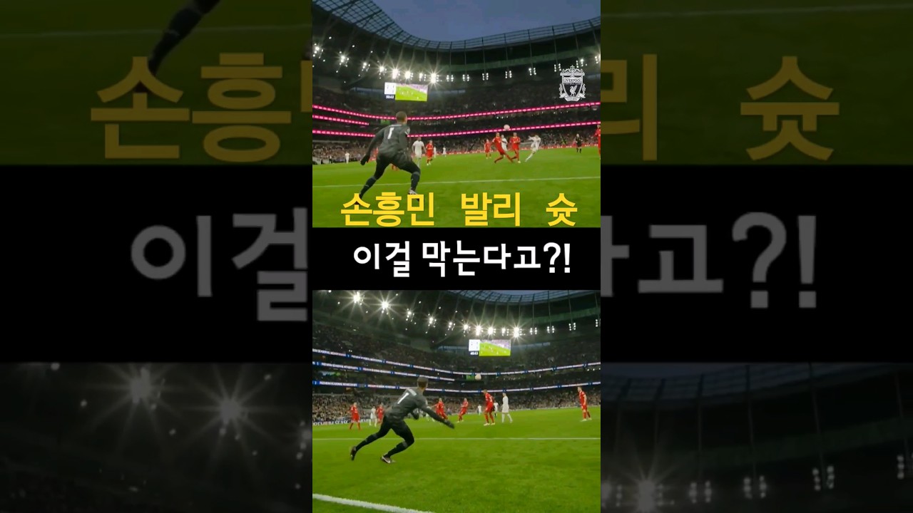 EPL 선방률 1위다운 알리송의 미친 슈퍼세이브ㄷㄷ