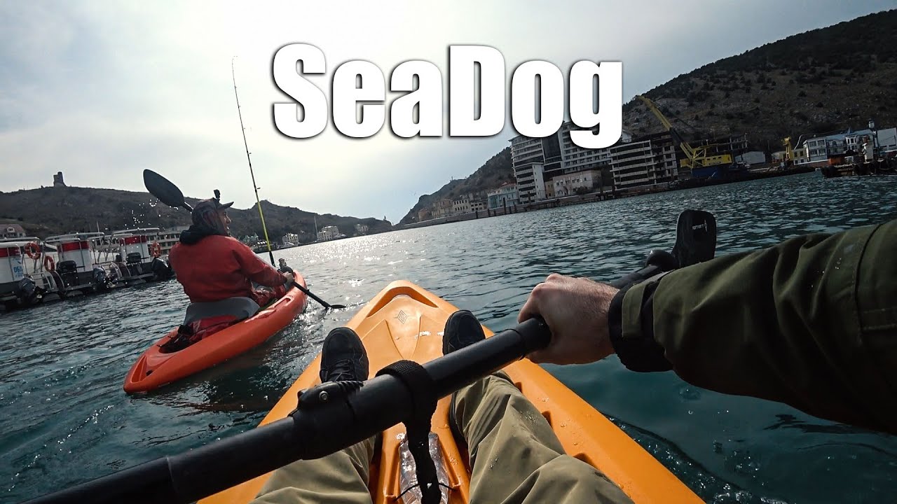 SeaDog Первый выход в море