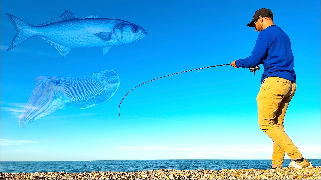 Cerco PESCI SERRA, MA trovo TANTI Predatori INSOLITI! Pesca dalla Spiaggia a Spinning e Eging