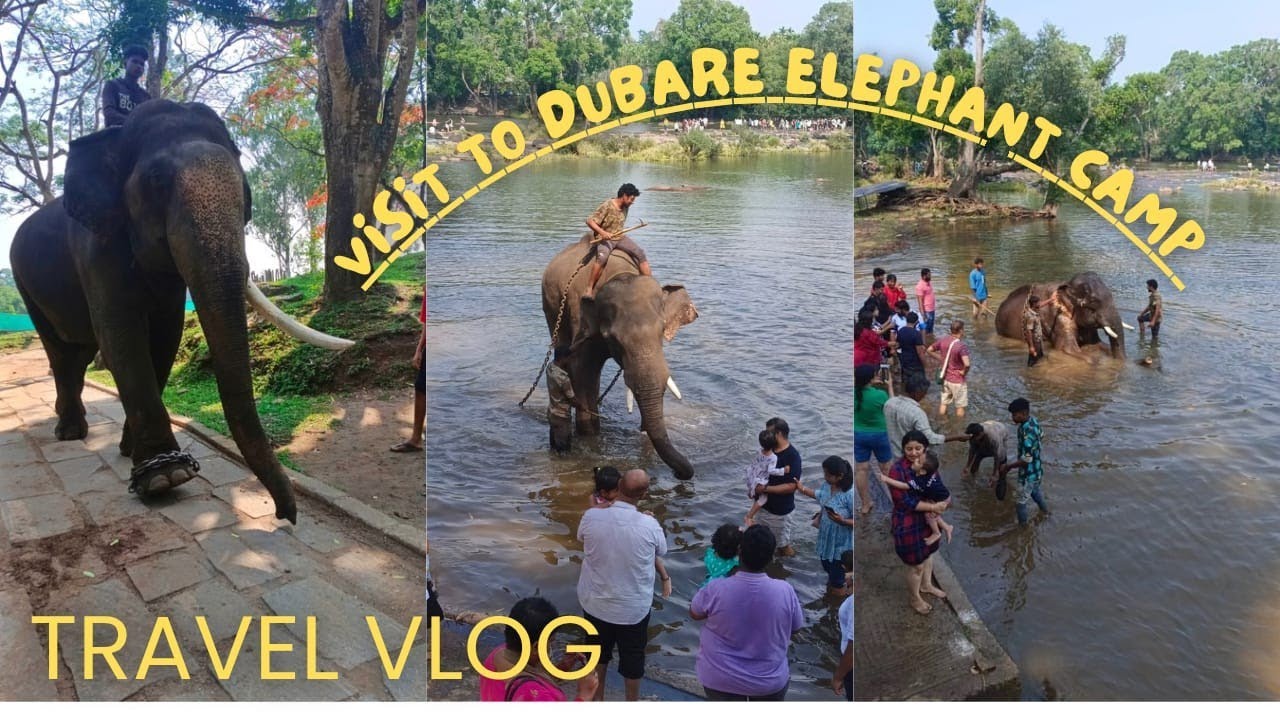 BEST PLACES TO VISIT IN COORG - Dubare Elephant Camp | Dubare Elephant Camp Full Tour & Review