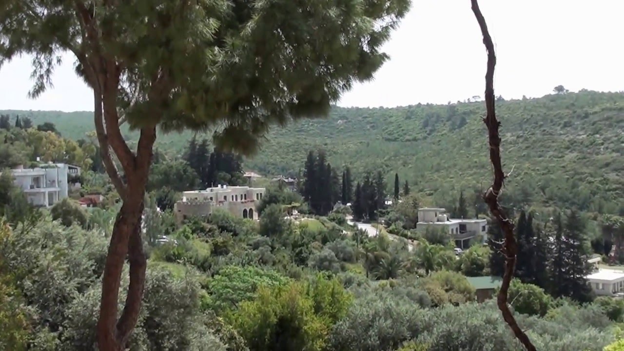 כפר האמנים עין הוד