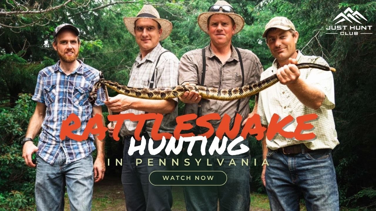 RATTLESNAKE Hunting in Pennsylvania With Our MENNONITE FRIENDS!