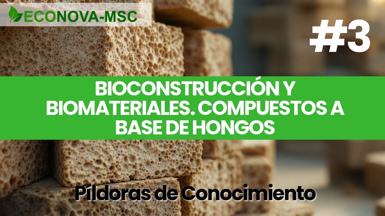 Píldora de Conocimiento Urdecon 3.  BIOCONSTRUCCIÓN Y BIOMATERIALES. COMPUESTOS A BASE DE HONGOS.