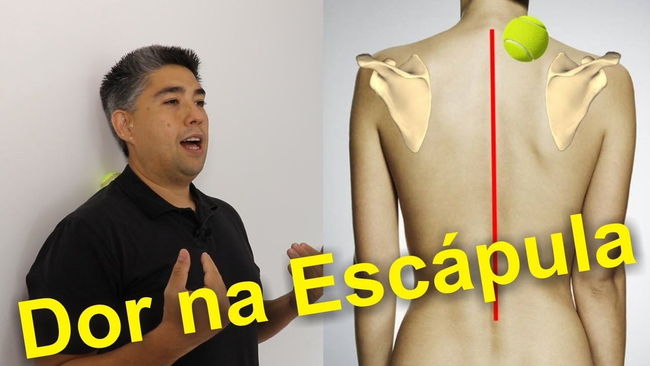 Dor nas costas (dor na escápula) pode ser tratada com bola de tênis!