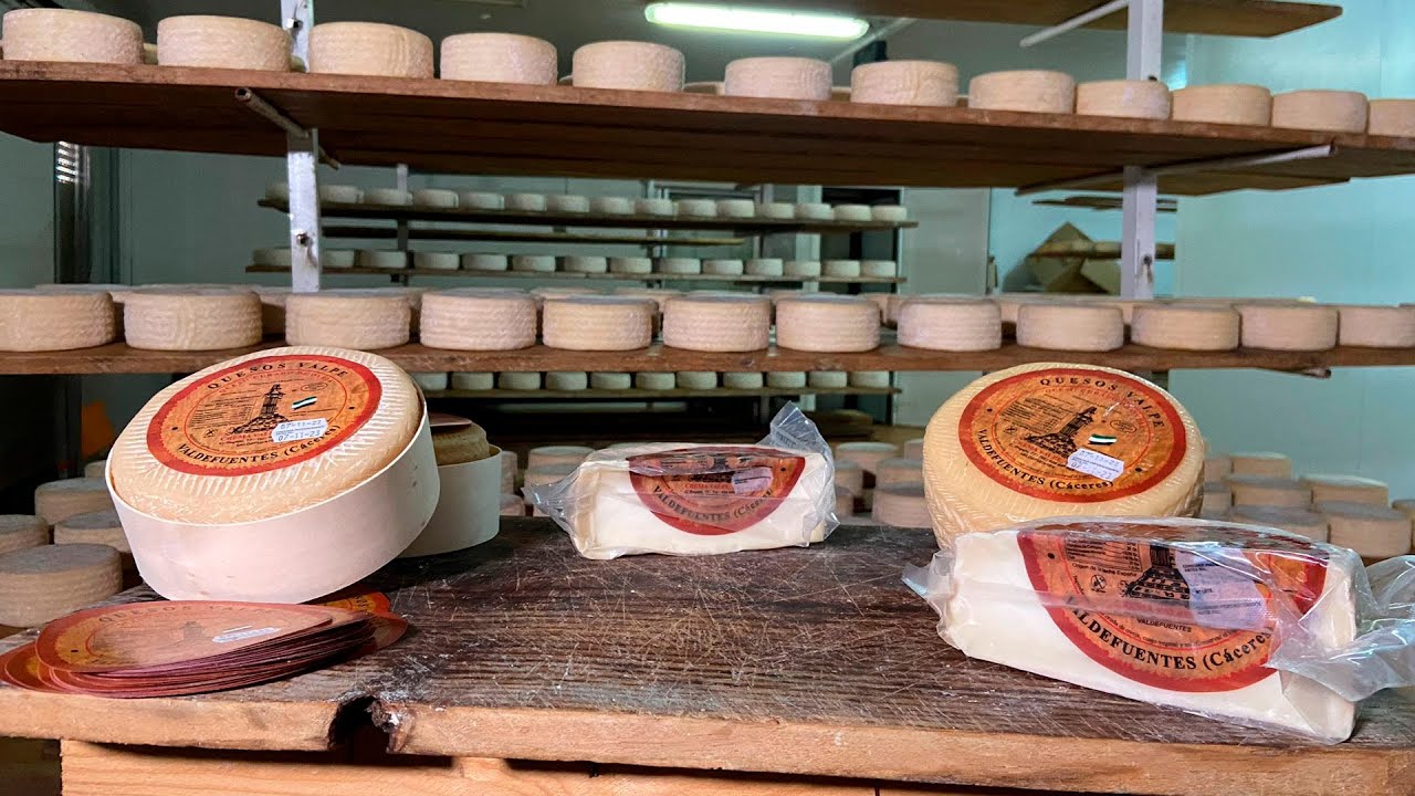 Valdefuentes aspira a hacer el queso m&aacute;s grande del mundo | Dos de tarde