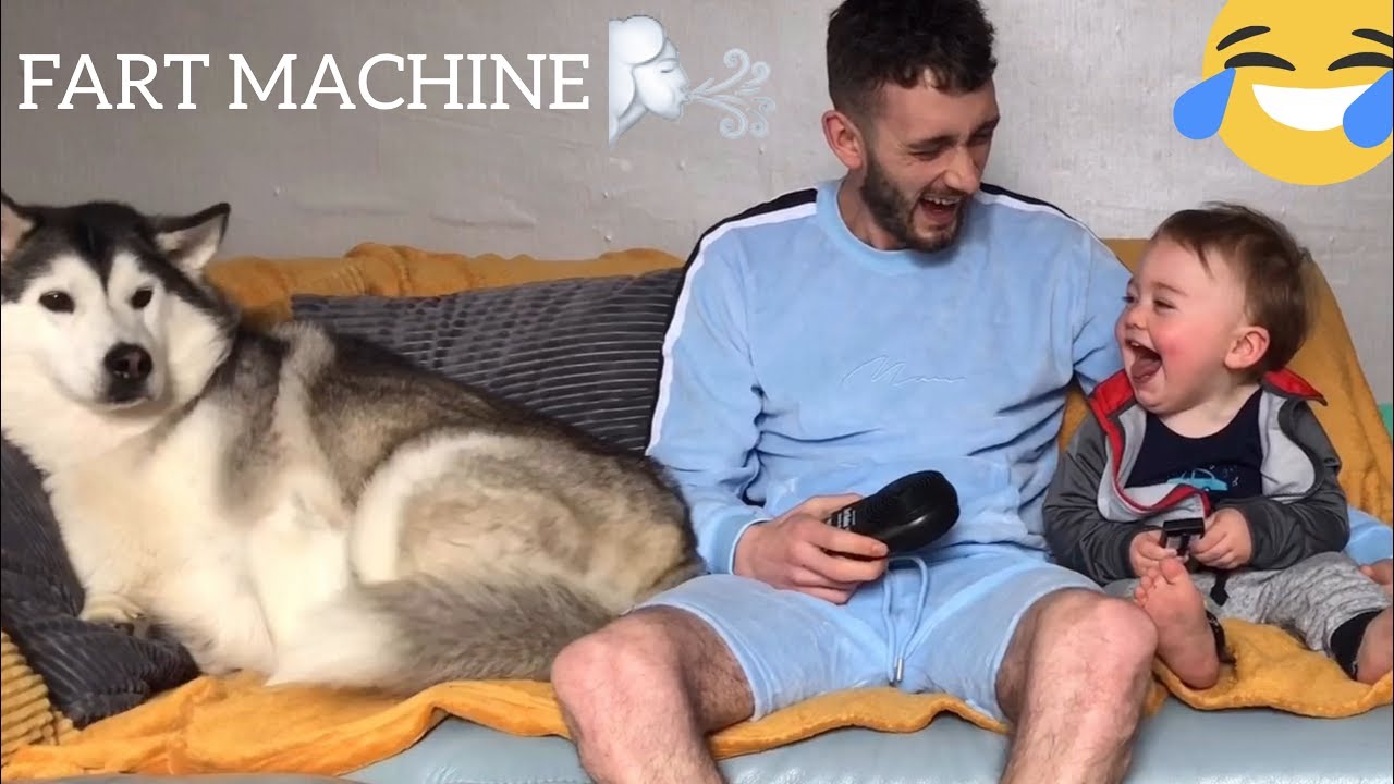 Baby Can’t Stop Laughing While Pranking Husky Dog With Fart Machine!..