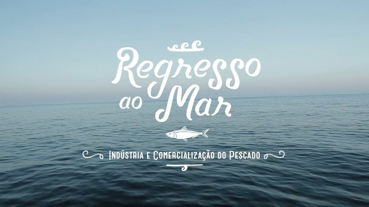 Regresso ao Mar | Ep7 – Indústria e Comercialização do Pescado