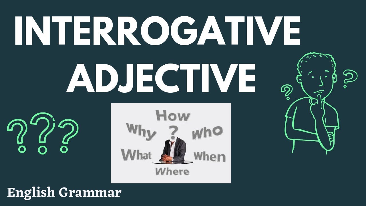 Interrogative Adjective | Interrogative adjective examples and exercise