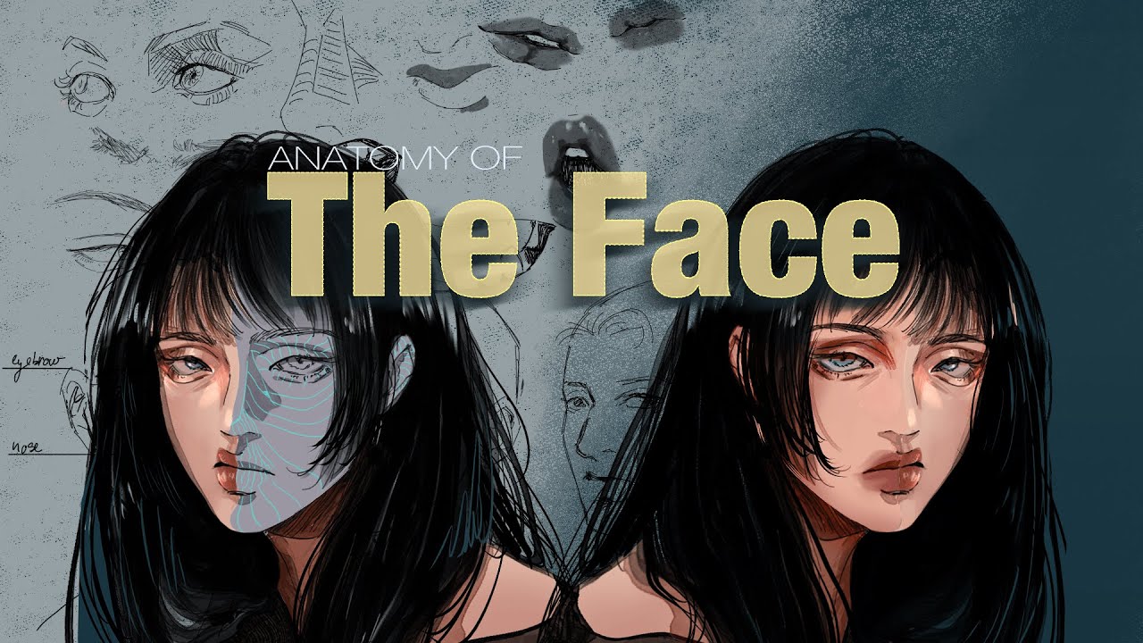 How To Draw A Face | Facial Anatomy