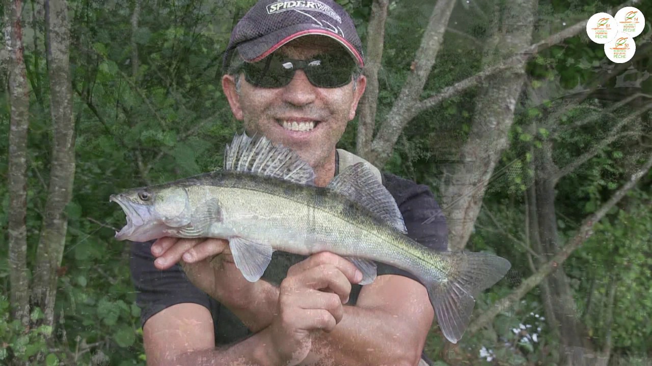 Sortie de p&ecirc;che Orne Carnassiers