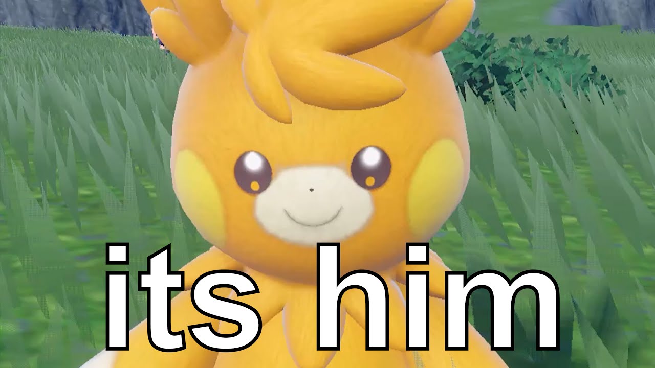 pokemon picnic but its the pawmi evolution line