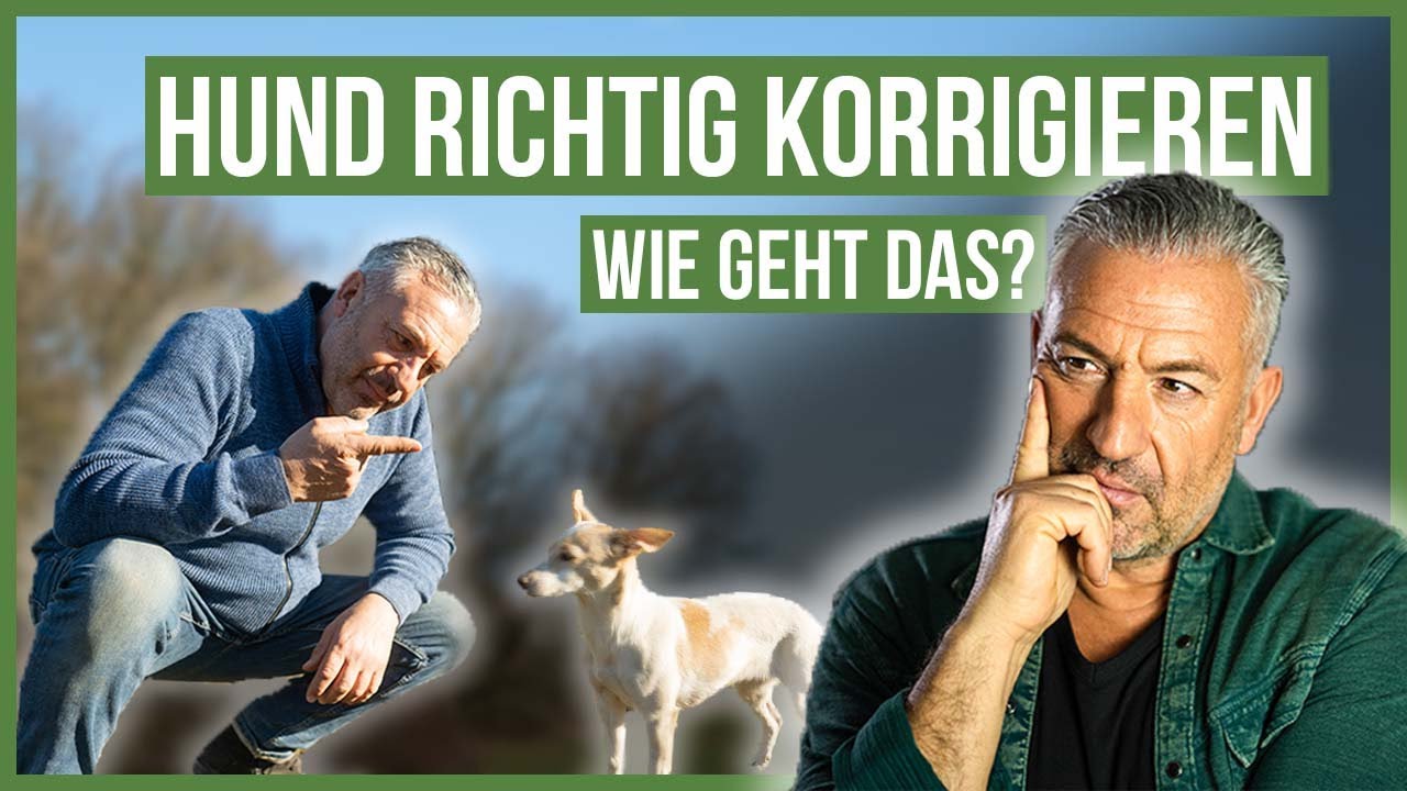 GRENZEN setzen? 😳 Diese TIPPS werden Dir dabei helfen!