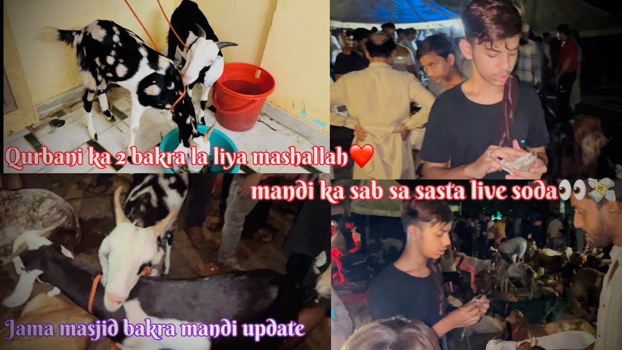 29 May 2025 jama masjid bakra mandi update mandi ka sab sa sasta live soda👀💸 mashallah 2 bakra liya