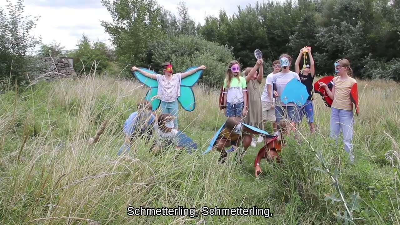Schmetterlingssong