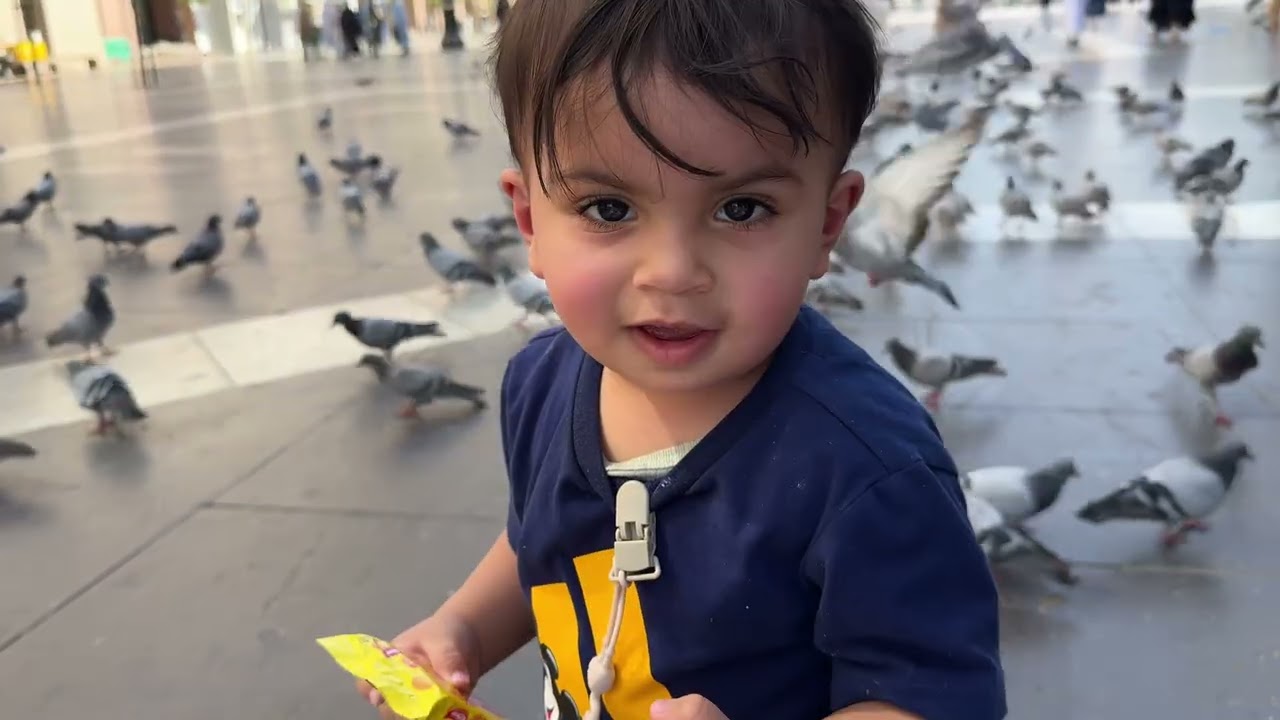 رحنا المدينة وعمر لحق الحمام😰