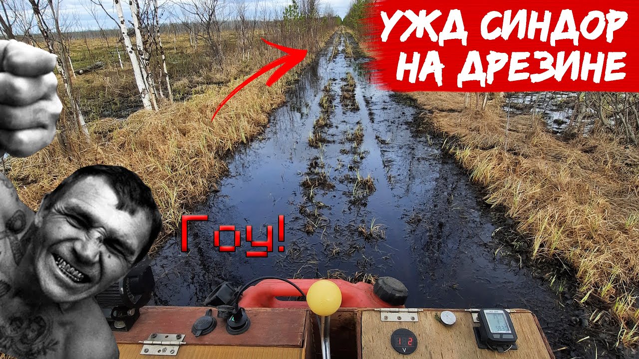 На дрезине по УЖД Синдор.