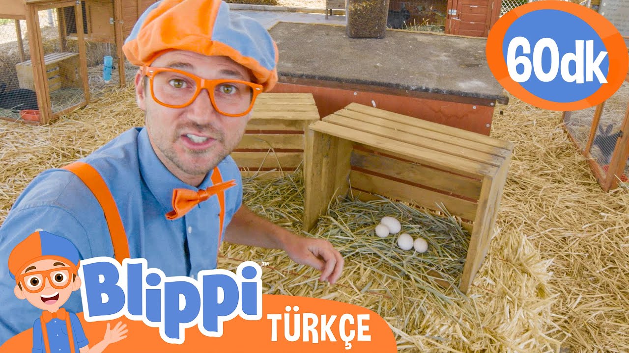 Blippi Bir &Ccedil;iftliği Ziyaret Ediyor 🐣 | Blippi T&uuml;rk&ccedil;e - &Ccedil;ocuklar i&ccedil;in Eğitici Videolar