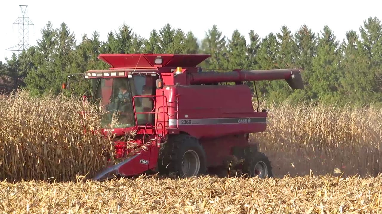 Harvest 2020 | Case IH 2366 Axial Flow Combine Harvesting Corn | Corn Harvest 2020
