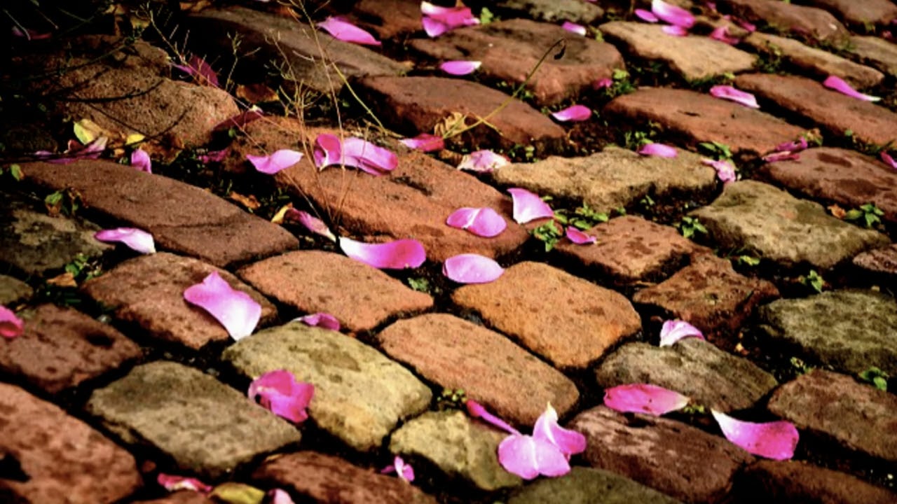 Jan Hol&yacute;: A street paved with stones of time