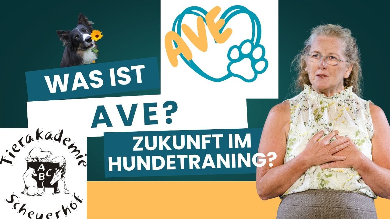 Was ist AVE und wie hilft es dir und deinem Hund?