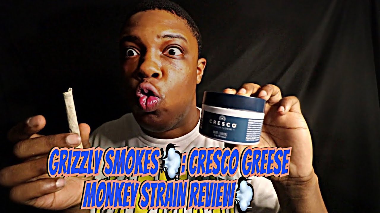Grizzly Smokes 💨: CRESCO GREESE MONKEY STRAIN REVIEW💨