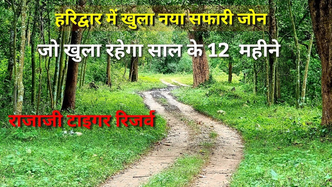 Rajaji National Park | Motichur Range | Kansrao forest Rest House, राजाजी राष्ट्रीय पार्क #haridwar