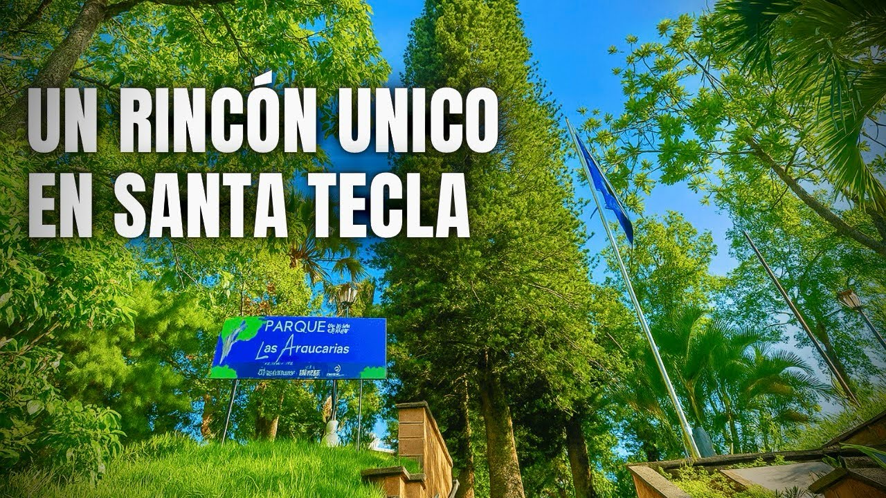 🌲Un lugar que siempre invita a volver | Parque Las Araucarias, Santa Tecla
