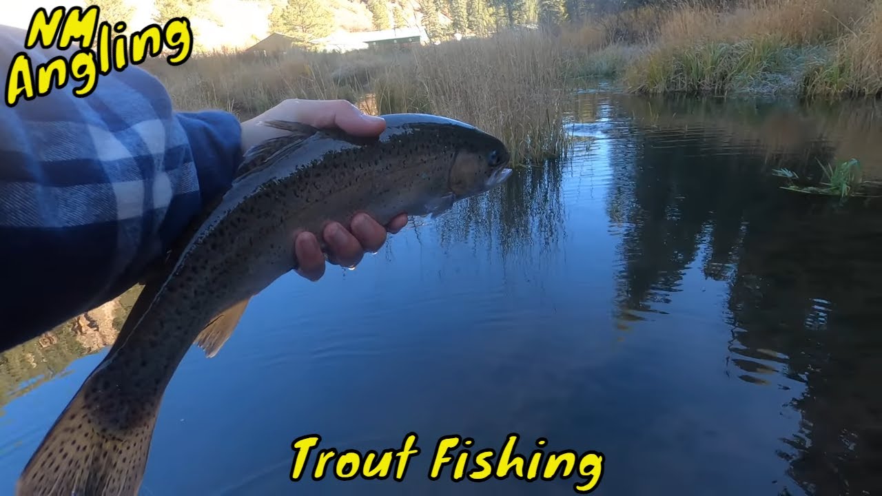 QUICK TRIP-FISHING 3 DIFFERENT BODIES of WATER for TROUT