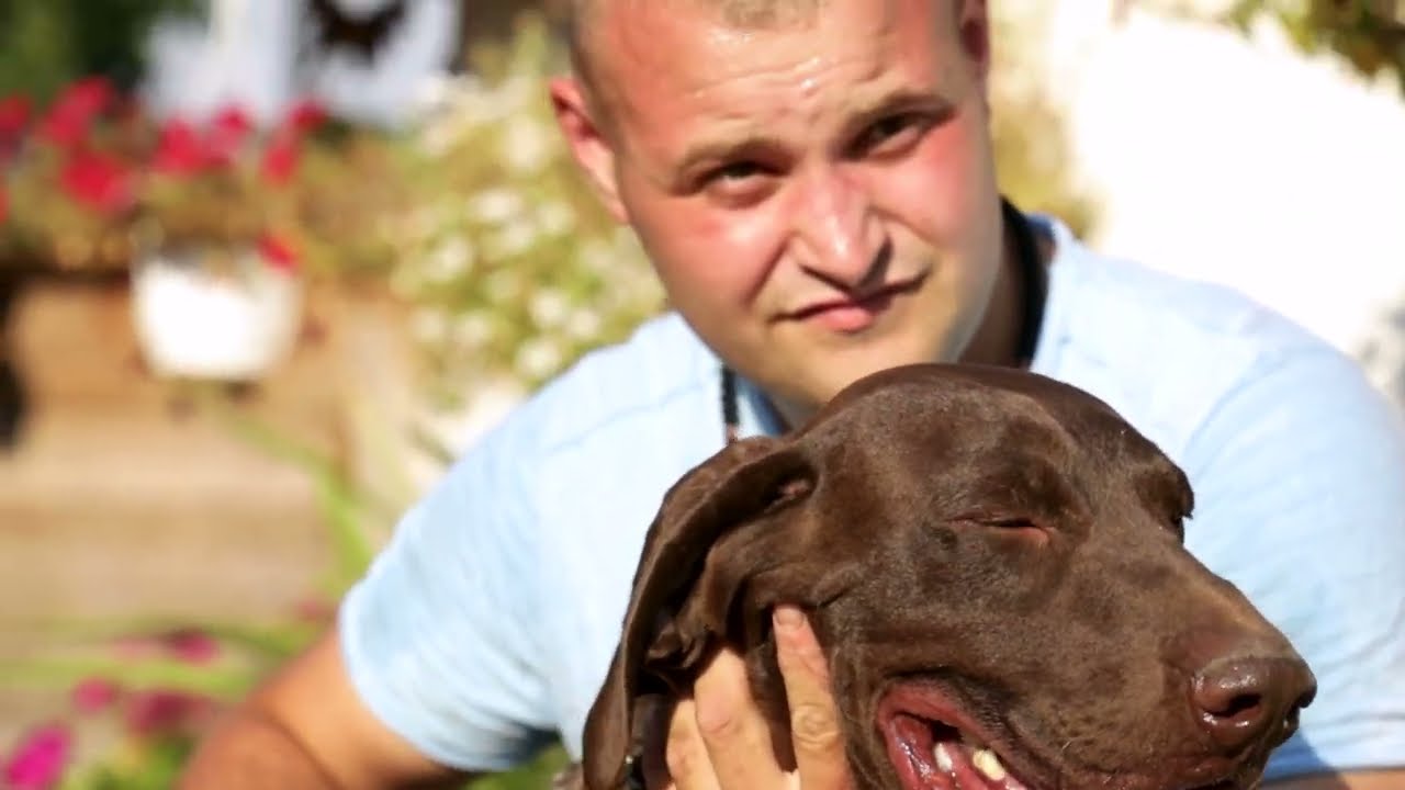 Moj savršeni ljubimac ep. 163 01.08.2022. Šarplaninci, bretonci, nemački kratkodlaki ptičari