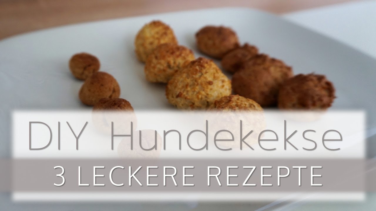 LECKERE HUNDEKEKSE SELBER BACKEN | Kobeswelt
