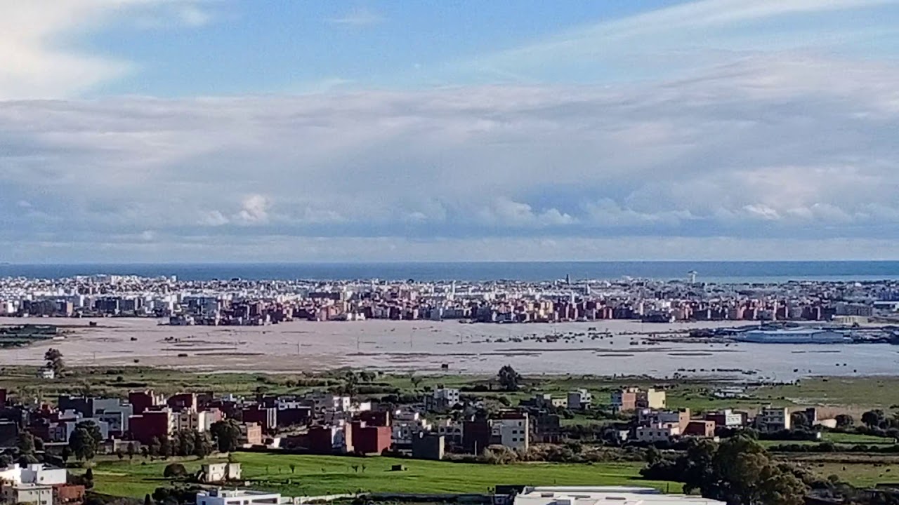 11 de enero de 2021