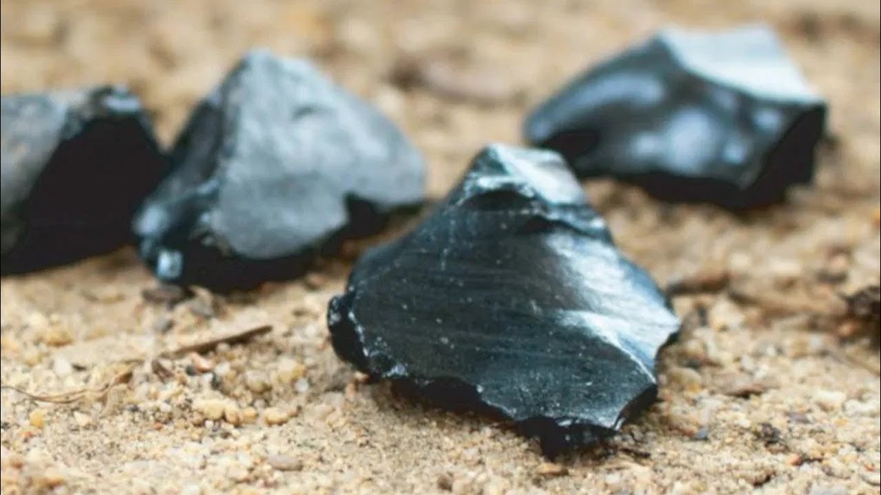 L'oro nero che veniva dal mare