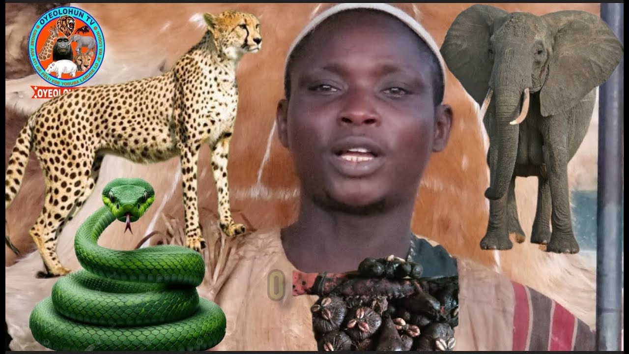 OGBOJU ODE // AWON ABAMI (DEMON) PORA MOMI LOWO LEYIN IGBATI MO YIN IBON SI TAN, EJE KUN ORI OMI...