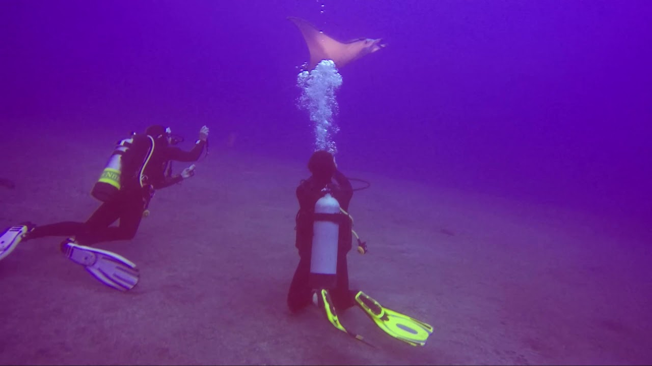 Kona Diving Company - May 24, 2019